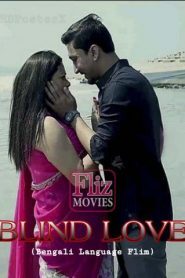 Blind Love (2020) Flizmovies